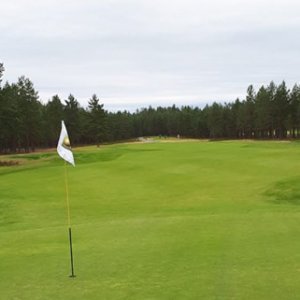 Tutustu Viano-lannoitteisiin!