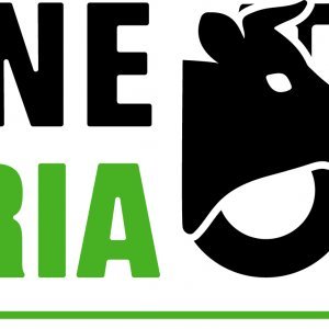 Novarbo KoneAgria messuilla