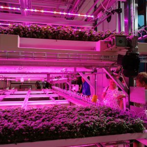 Novarbon Vertical Farming -järjestelmän esittely