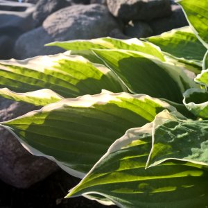 Novarbo mukana Vihertekniikka-näyttelyssä!