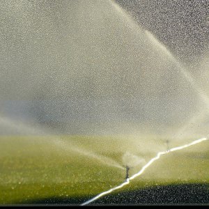 Miten saada paras hyöty kastelusta?