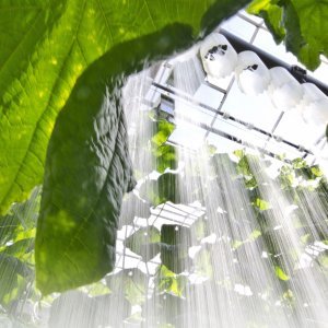 Pisaraverholla kasvihuoneeseen pienemmät lämmityskustannukset ja lisää satoa