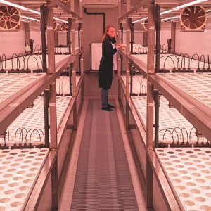 Novarbon kerrosviljelykontti tarjoaa monia mahdollisuuksia