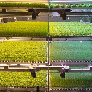 Novarbo GreenTech messuilla