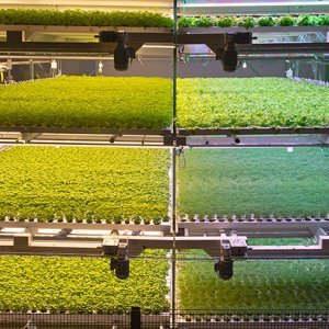 Novarbo GreenTech messuilla