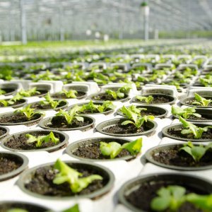 Nimityksiä Novarbo Oy:ssä