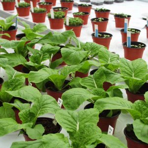 Uusi avainasiakaspäällikkö aloittaa